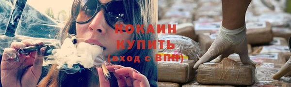 PSILOCYBIN Кодинск