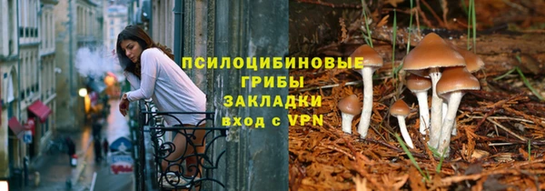 spice Кинешма