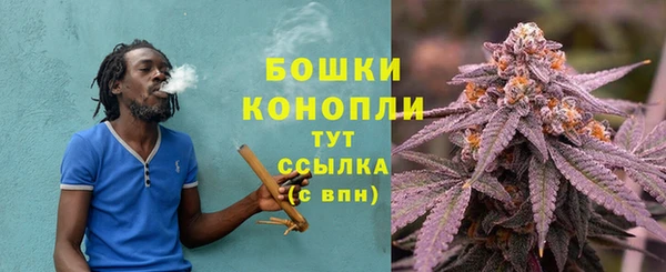 spice Кинешма