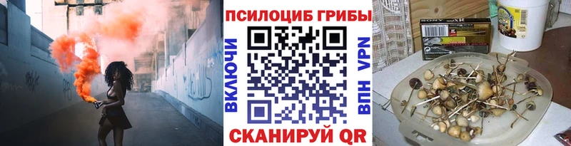 Галлюциногенные грибы Cubensis  Армавир 