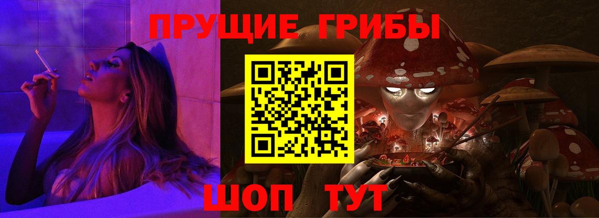 Галлюциногенные грибы Psilocybe Армавир